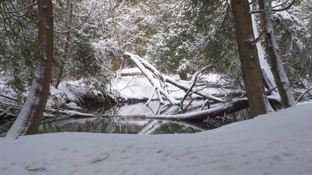 Enniskillen Conservation Area смотреть онлайн