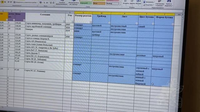 Учёт фиалок в домашних условиях, просто и понятно.Часть 1. смотреть онлайн