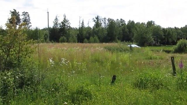 Продам участок 6соток с.Березовка Житом.обл. смотреть онлайн