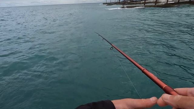 ?ДЕЛО ПОШЛО! Я СЕГОДНЯ С РЫБОЙ. Морская Рыбалка. Морской Окунь. Смарида. Крым. Ялта. смотреть онлайн
