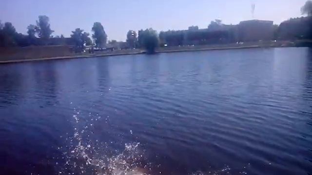 Отдых в Колтушах.