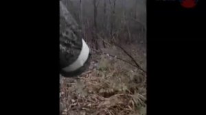 Беременная жинка ВСУ попала в плен