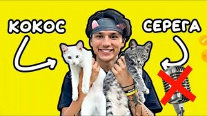 Младший Муфаса спел: Песня про котят - Holy Baam (Серёга и Кокос) @HolyBaam заметь пж