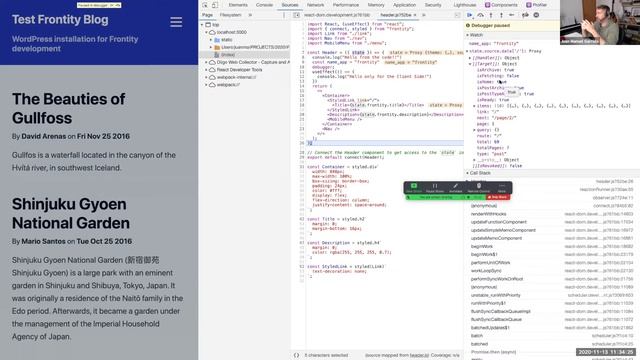 Frontity Talks 2020-09 - Debugging Frontity Sites