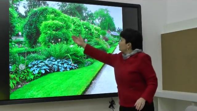 Декоративные параметры растений, как необходимая составляющая цветника. смотреть онлайн