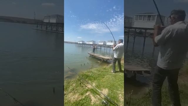 дед показал как надо ловить рыбу #рыбалка #удочка #озеро смотреть онлайн