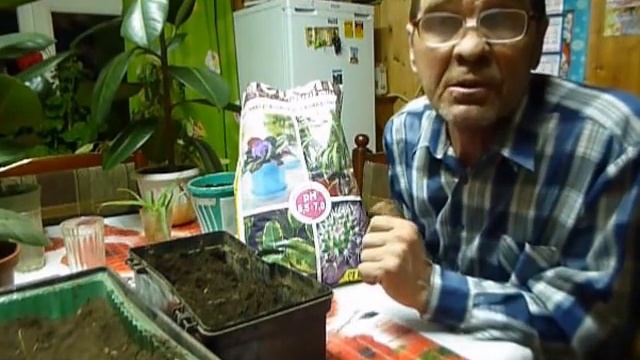 Рассаживание комнатных цветов.Алоэ, Фикус обыкновенный. смотреть онлайн