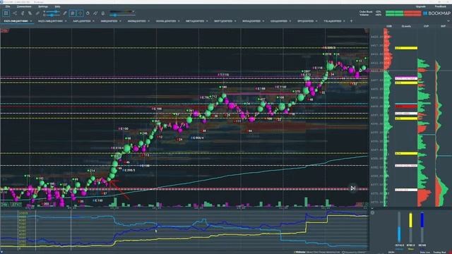 Trade Options likes a pro using Bookmap | Doug Pless смотреть онлайн