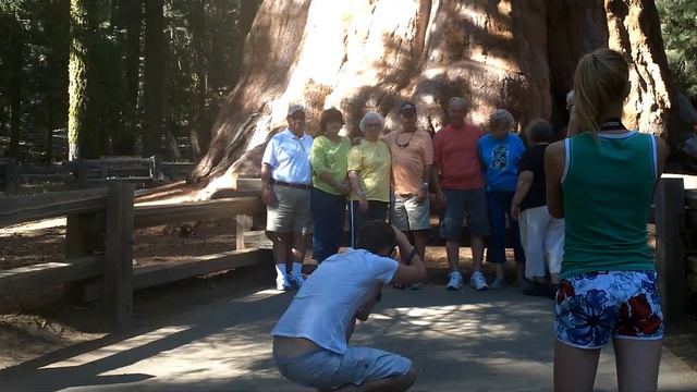 General Sherman tree - Sequoia national park \ Дерево генерала Шермана. Национальный парк Секвойя