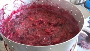 Сок из сливы урожая 2020.  #сок #слива #рецепт