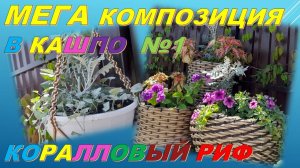 МЕГА-композиция "Коралловый риф" в кашпо