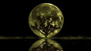 История На Ночь | Проект Лазарь 2010