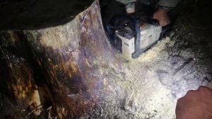 Бензопила STIHL. Как срезать большой пень под корень за пять минут.!