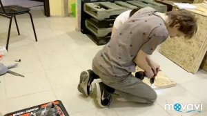 Террариум своими руками! Часть1
