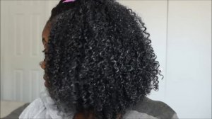 Wash N Go Using Creme Of Nature Pure Honey Mask & Twisting Cream Demo + Review