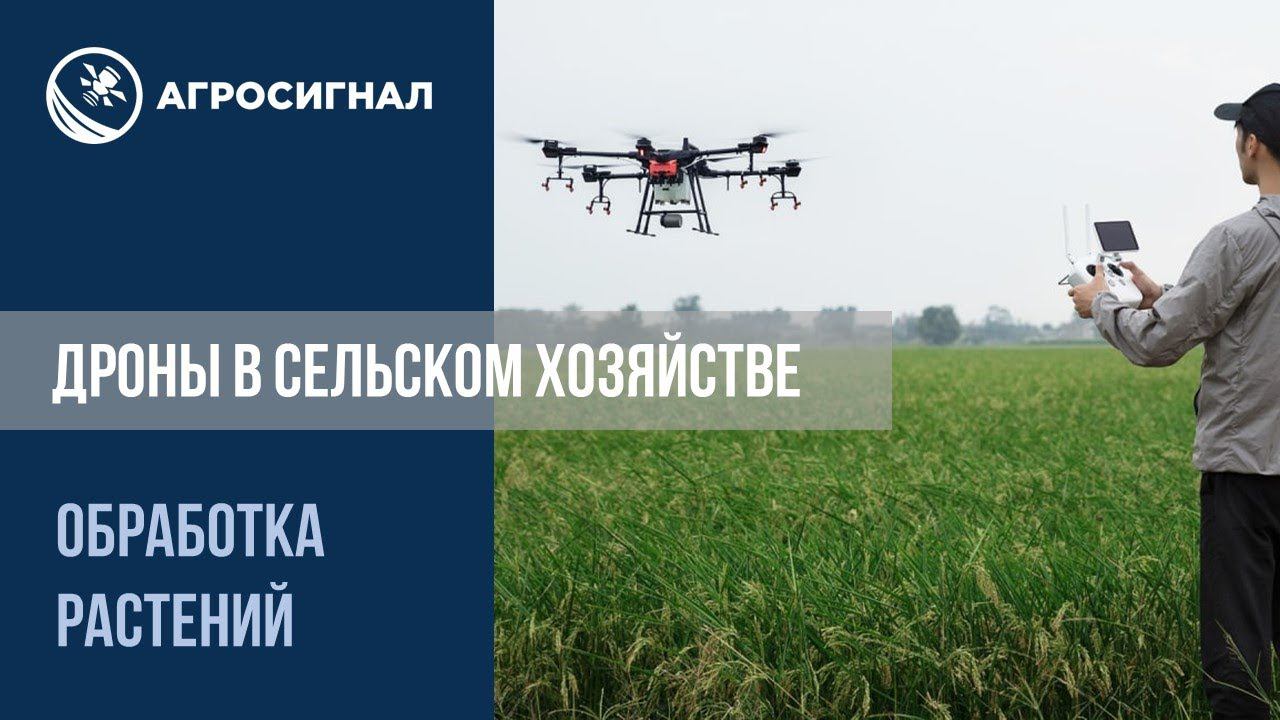 Дроны в сельском хозяйстве: обработка растений