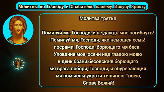 Молитва ко Господу Богу и Спасу нашему Иисусу Христу |текст православной молитвы