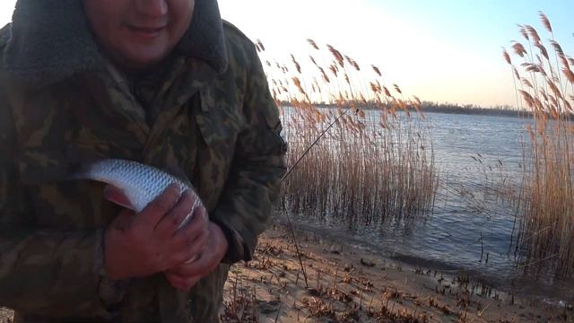 Рыбалка Утром на Большой Реке Ловля Голавля Весной на Донки Закидушки с Берега смотреть онлайн