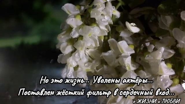 Ирина Самарина-Лабиринт.Солили душу ,перцем посыпали.