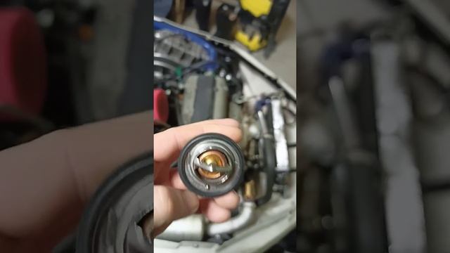 термостат для k6a на 71 градус. смотреть онлайн