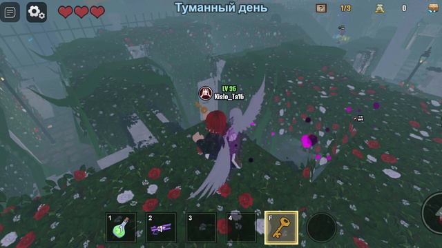 Kislo_Ta16