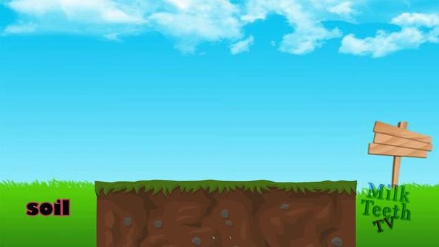 Parts Of A Plant For Kids / Grade 3 Science EVS / Plant Parts In English