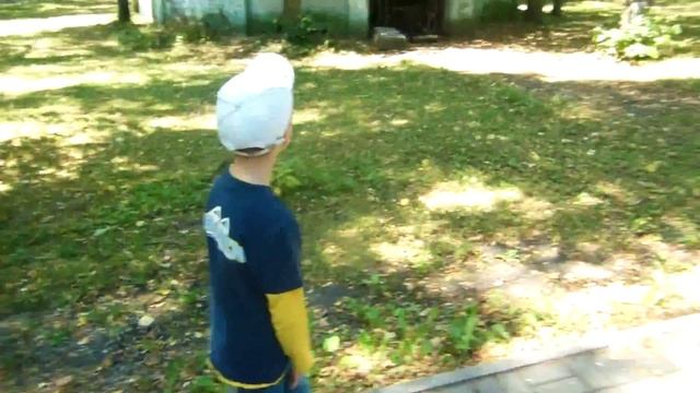 Влог: Смотрим комедию. Болеем за Голландию. Коровы в парке.Хорошо на улице. Лилии с дачи. смотреть онлайн