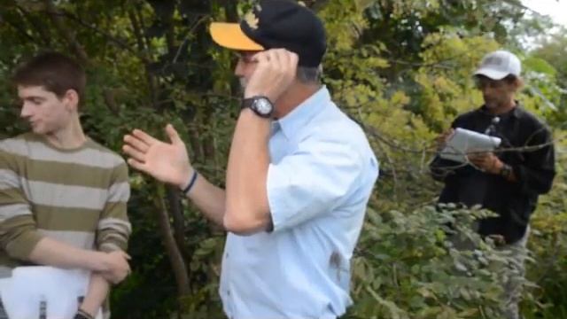 Robinia pseudoacacia смотреть онлайн