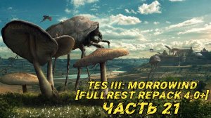 TES III Morrowind [Fullrest repack 4.0+] 📜#21. Сулипунд