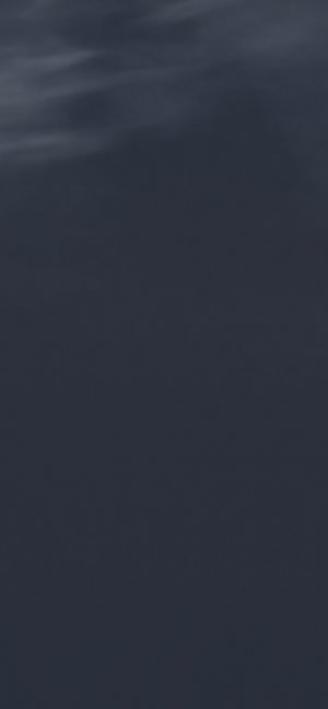 День каринки и аринки