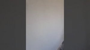Euro primer tikkurila укрепляющая акрилатная грунтовка