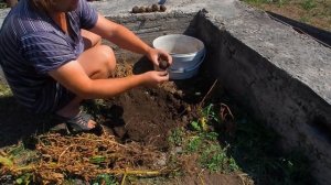 ПОСАДИЛ 10 КАРТОШИН В ОДНУ ЛУНКУ ОШЕЛОМИТЕЛЬНЫЙ РЕЗУЛЬТАТ Я ТАКОГО НЕ ОЖИДАЛ