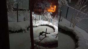 пиявки, разведение как бизнес. Зимовка производителей продолжается.
