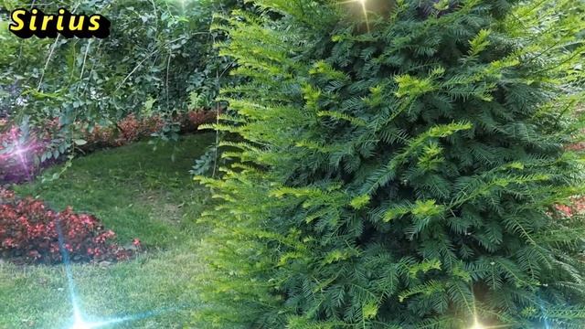 26 марта Никифоров день: что категорически нельзя делать