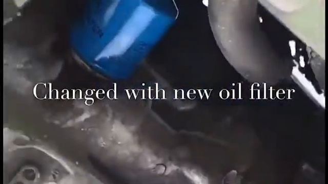 HONDA Fit Engine Oil Changed using AMSOIL. смотреть онлайн