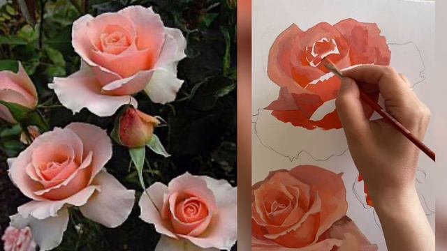 Чайные Розы 2 смотреть онлайн