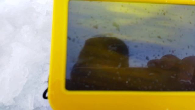 Камера для зимней рыбалки с авито!калипсо курит в сторонке! смотреть онлайн