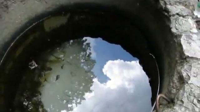 Злющие комары на роднике. Укусы комаров смотреть онлайн