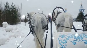 Русские тройки - лучшее развлечение зимы!