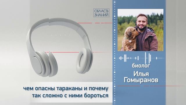 Чем опасны тараканы и почему так сложно с ними бороться? Рассказывает биолог Илья Гомыранов
