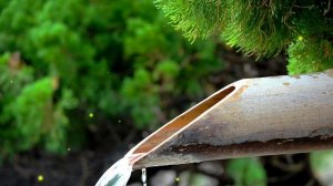 Исцеляющие звуки воды и бамбука. Расслабиться за 10 минут. Звуки бамбука и воды.