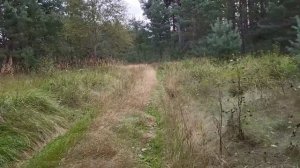 Брянская область, Выгоничский район, левый берег