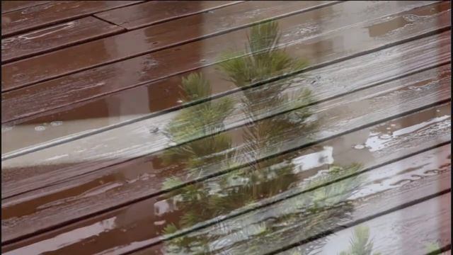 Canon EOS 550D clip on a rainy day смотреть онлайн