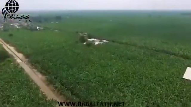 Банановая плантация Эквадор бананы премиум класса!!! смотреть онлайн