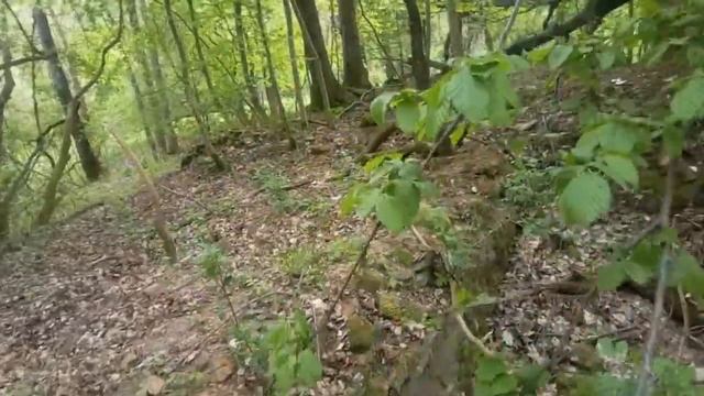 Руины древнего немецкого поместья.Коп на поле Аллея Смелых. смотреть онлайн