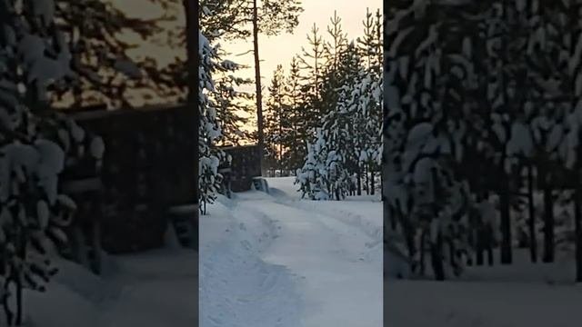 Болотохот 2