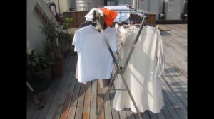 На небе есть Рай, а на земле - Сучжоу и Ханчжоу (上有天堂，下有苏杭) (китайская поговорка)