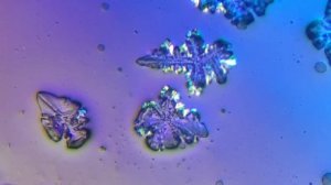 КАКИЕ МИКРОСКОПЫ Я ИСПОЛЬЗУЮ ДЛЯ СОЗДАНИЯ ВИДЕО