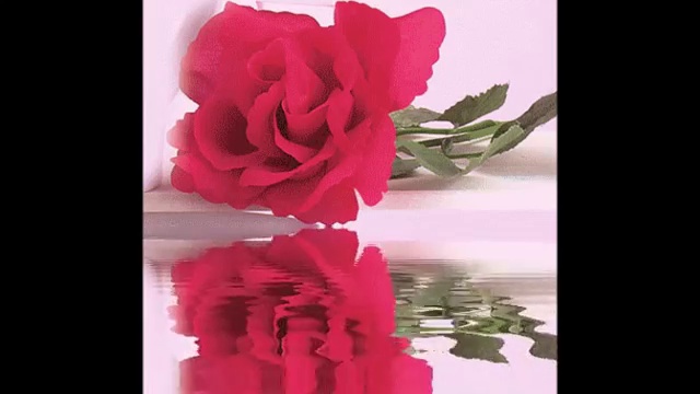 Отдушина от поделок шоу либеральщины смотреть онлайн