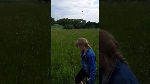 Никулинские сады в Великих Луках